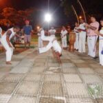 DSC02337