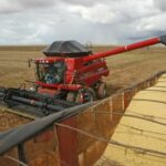 colheita_campo_novo_dos_parecis_-_hh0193