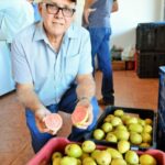 Tuta-mostrando-goiaba-em-Alto-Alegre-dos-Parecis-Foto-Dhiony-Costa-e-Silva-570×857