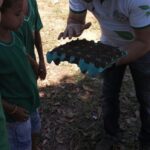 Etapa 1. Eng. Agr. Jabez Saraiva demonstrando embalagem alternativa para produção de mudas de hortaliças.