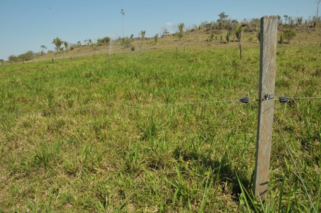Sedam lança plataforma digital que emite autorização para uso controlado de fogo em áreas de vegetação em Rondônia