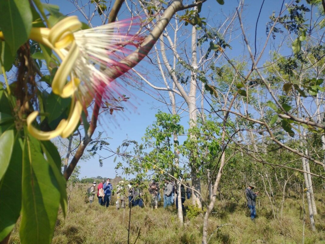 AgroTag, sistema de georreferenciamento da Embrapa, já está disponível em Rondônia