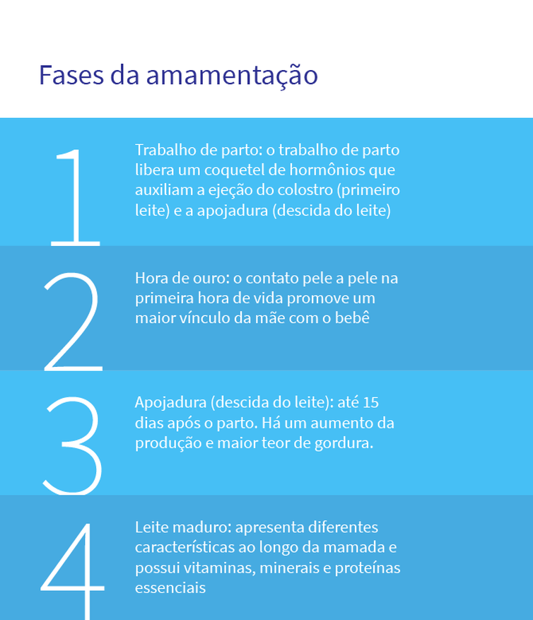 Fases da amamentação