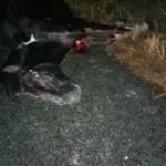 img-20211025-wa0003-169×3