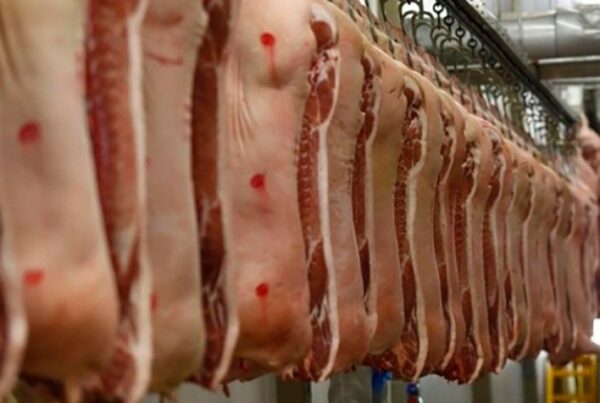 ABPA vê preocupação com exportações de carnes suína e de frango para a Rússia