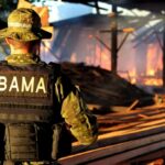ibama-felipe-we-1024×683