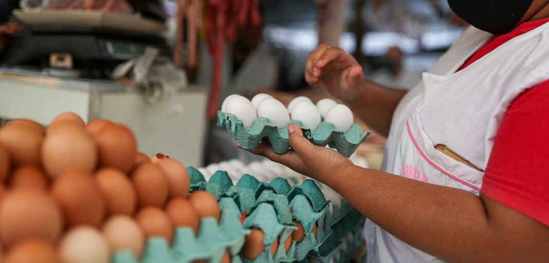 Auxílio Brasil de R$ 600 já chega defasado às famílias brasileiras