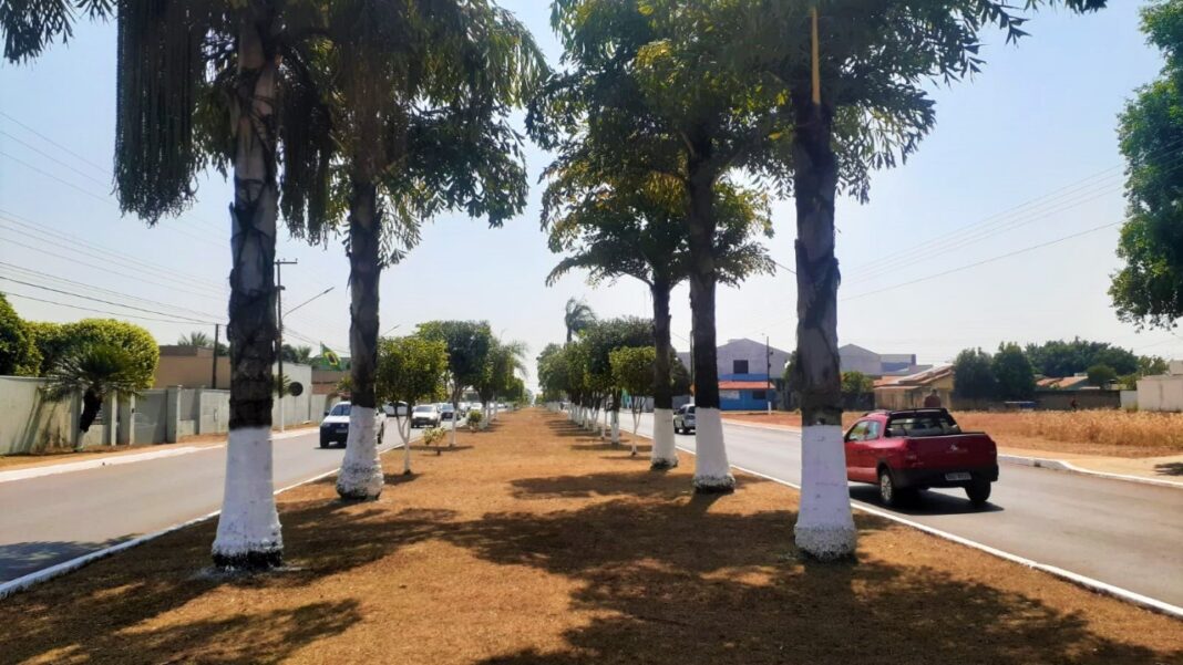 Em Vilhena, operação “Cidade Limpa, Cidade Próspera” é referência para outros municípios rondonienses
