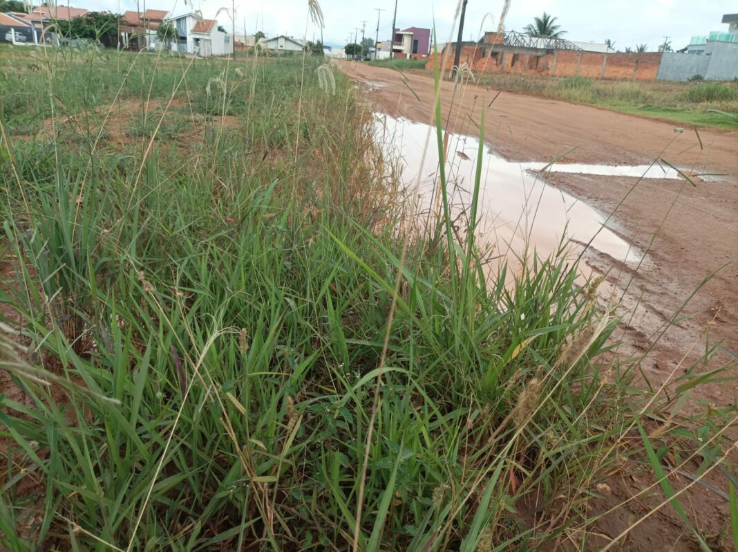 Buracos, lama e mato: moradores do Jardim Social pedem socorro em Vilhena