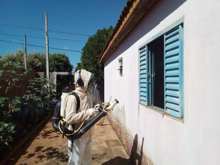 Mortes por dengue disparam em Rondônia; Vilhena e Cerejeiras vivem em surto