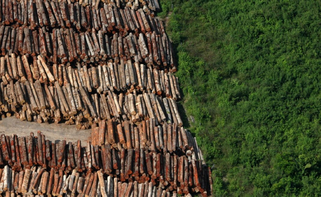 Desmatamento na Amazônia cai 36% no primeiro quadrimestre