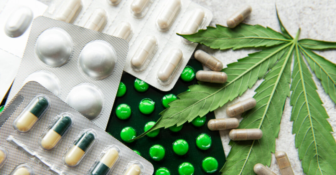 Lei que garante medicamento a base de canabidiol é promulgada em Rondônia