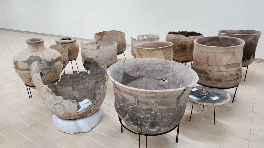 Unir inaugura exposição com peças do rio Madeira de 10 mil anos