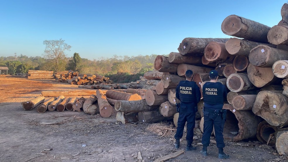 Operação Namim em Rondônia — Foto: Reprodução/PF