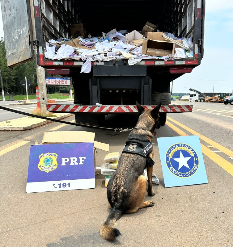 PRF e Receita Federal apreendem 67 kg de drogas em caminhão