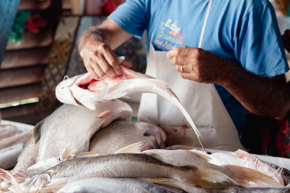 Pescado em feira — Foto: Bacabeira Audiovisual/Divulgação