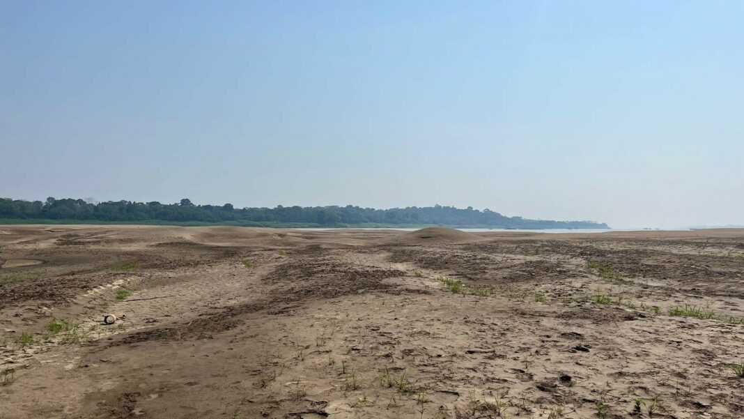 O mar vai virar sertão: rio Madeira se transforma em deserto com seca histórica