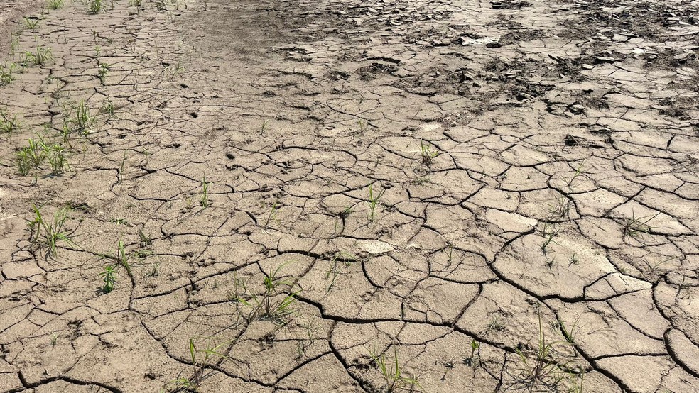 Seca histórica do rio Madeira revela paisagem semelhante a deserto em Porto Velho (RO) — Foto: Emily Costa/ G1 RO