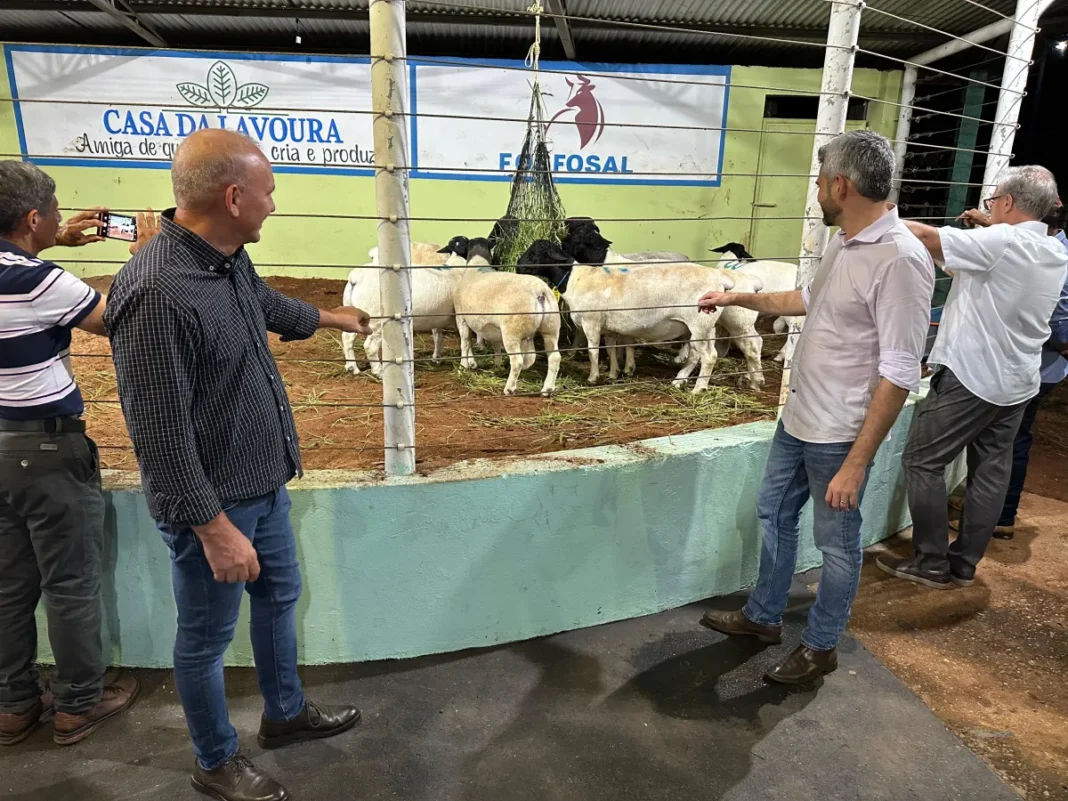 Com investimentos de R$ 110 mil, Ezequiel Neiva fortalece criação de carneiros em Colorado