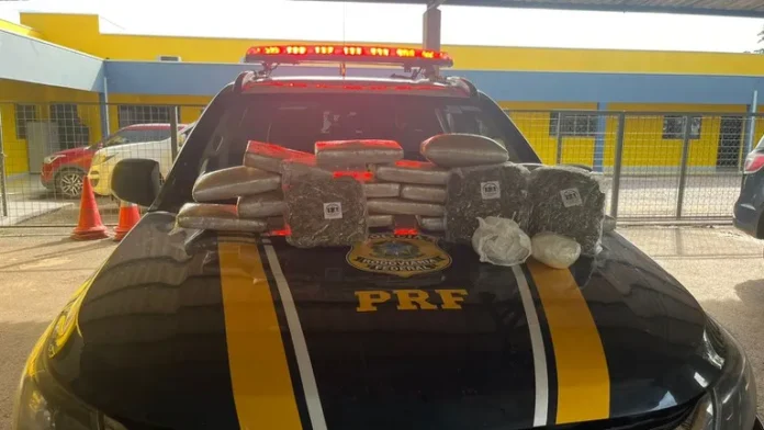 prf-apreensao9