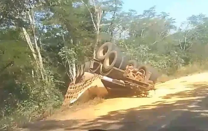 carreta-colo