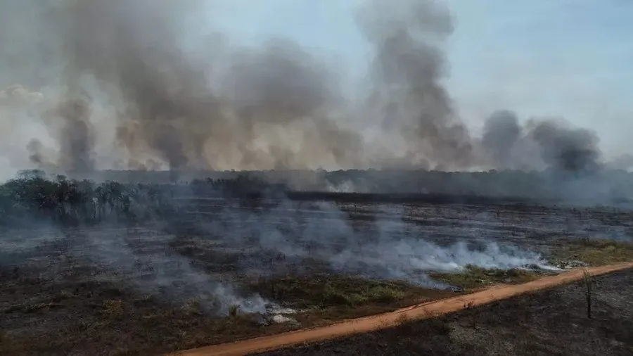 Governo decreta emergência por causa de incêndios florestais em Rondônia