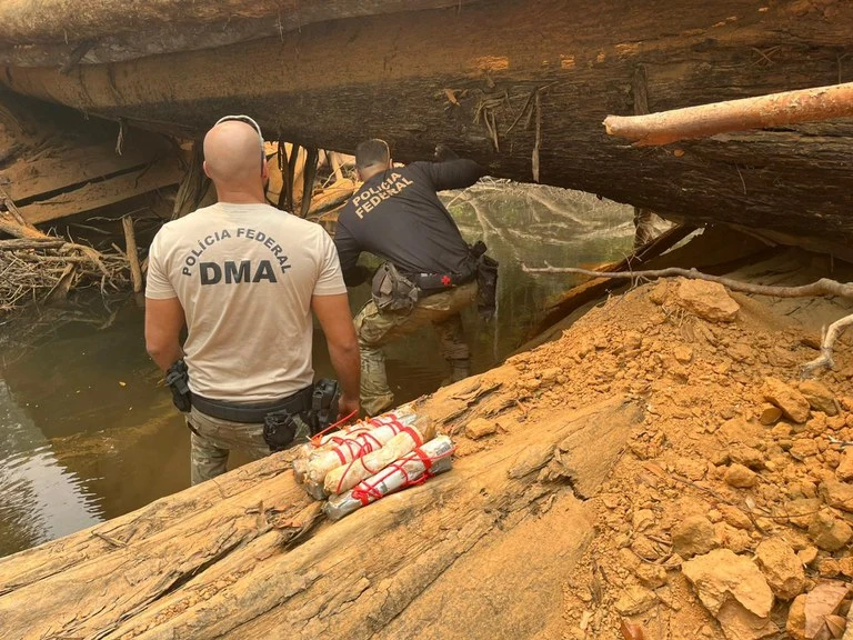 Operação da PF mira invasores de terras em Rondônia