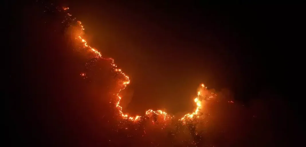 Terrorismo ambiental em Rondônia: brigadistas são recebido à bala por criminosos