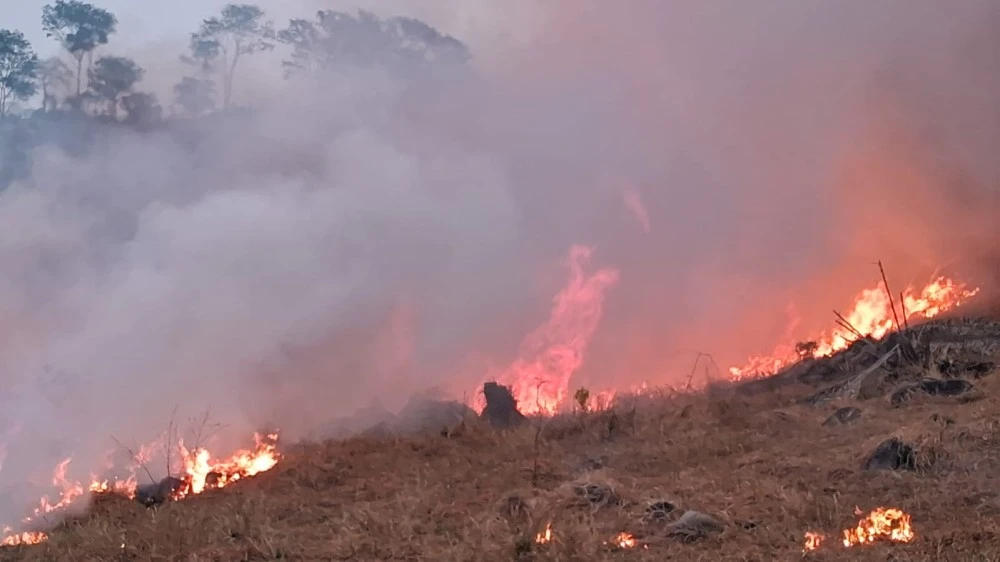 Terrorismo ambiental segue em Rondônia e população pede socorro em Colina Verde