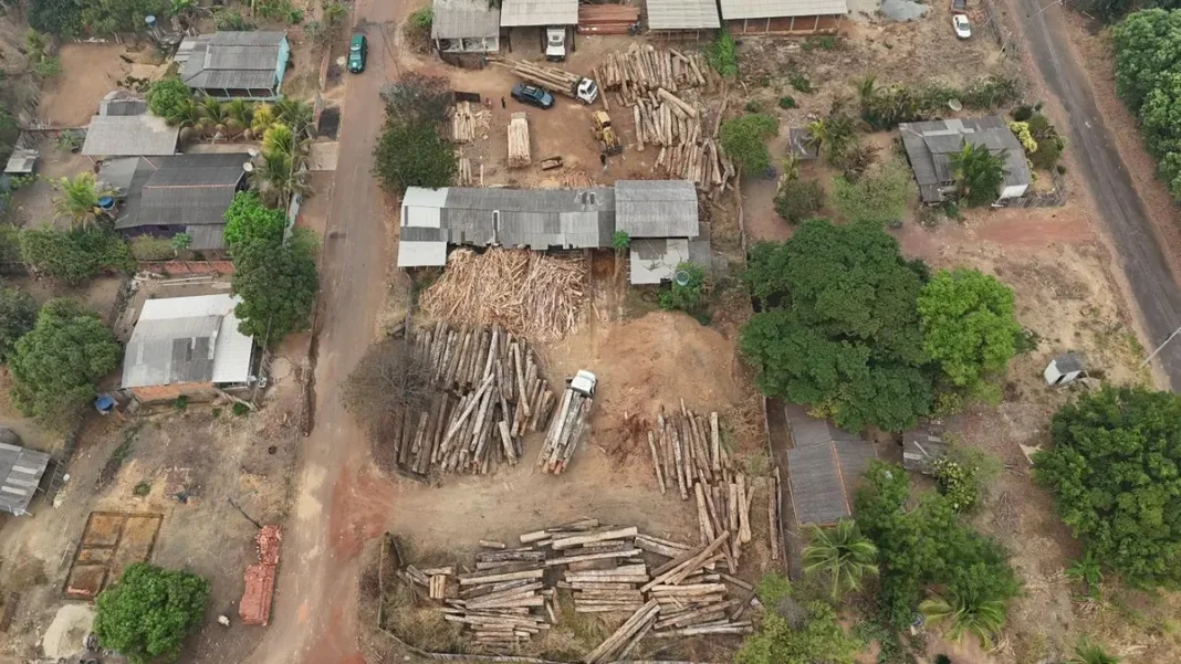 PF deflagra operação contra transporte irregular de madeira em Rondônia