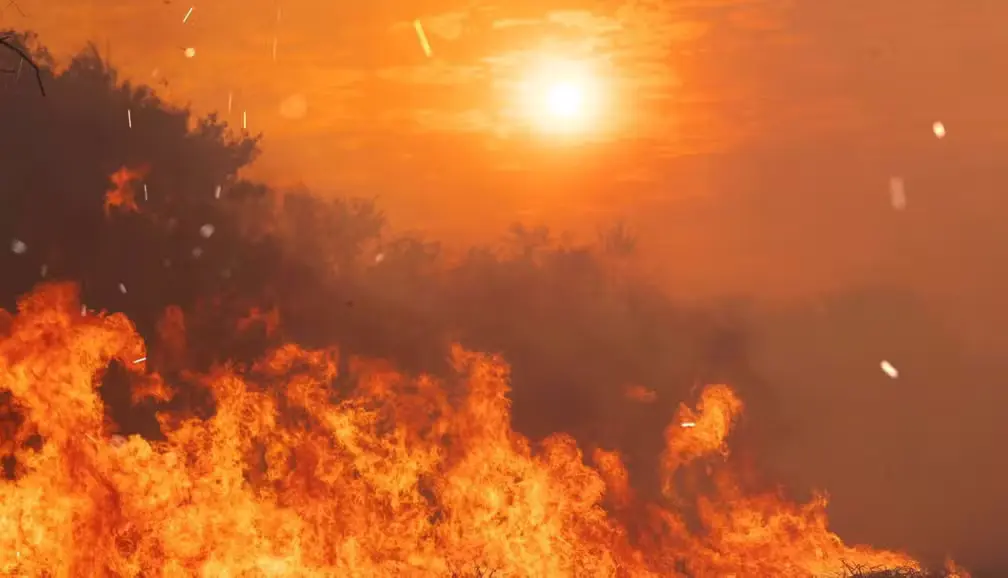 Grupo de criminosos causa prejuízo de R$ 220 milhões com queimadas