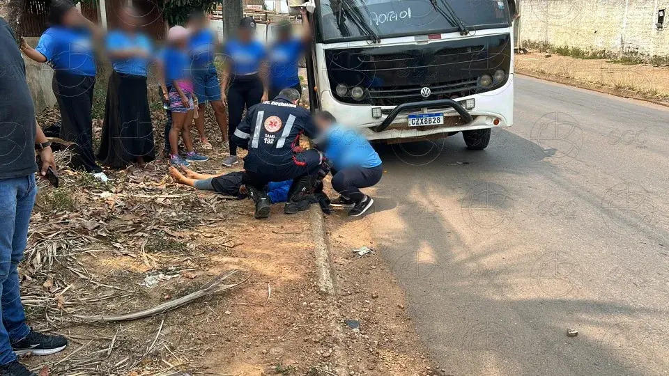 Formiguinha de candidata é atropelada em Rondônia