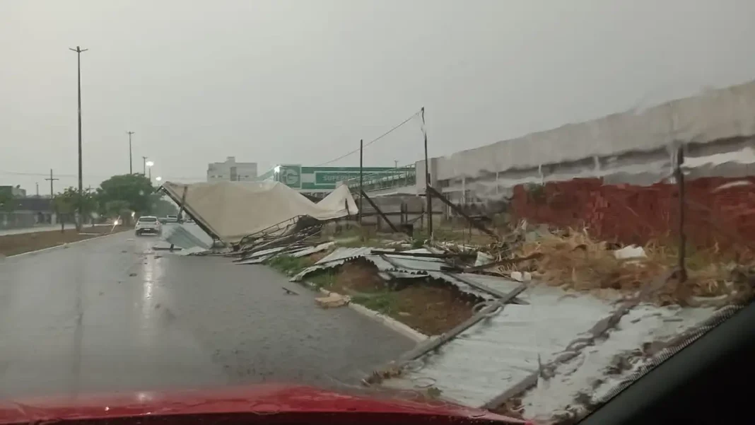 Forte chuva derruba árvores e causa interrupção de energia em Vilhena
