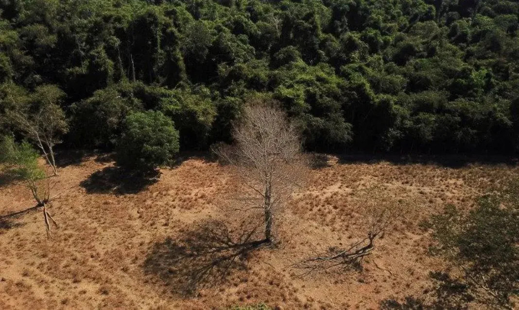 Fazendeiros destroem sítios arqueológicos na Amazônia
