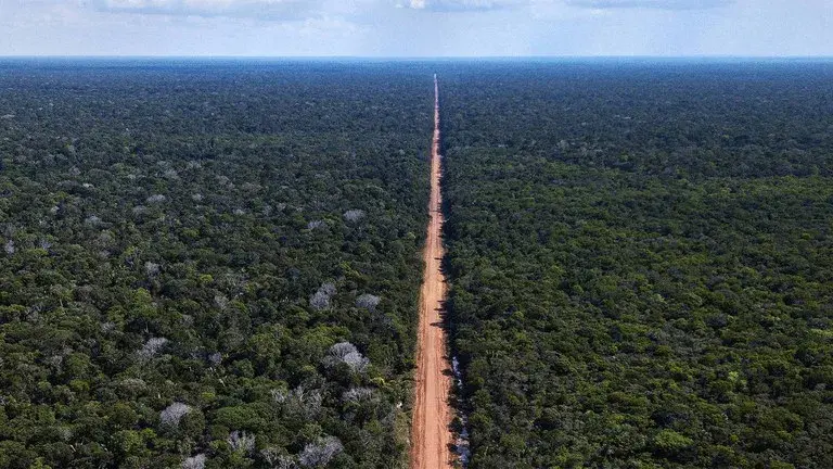 Pavimentação da BR-319 na Amazônia afeta áreas preservadas e pode agravar crise climática