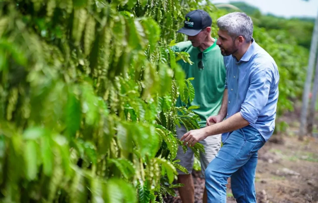 Recurso de Ezequiel Neiva melhora a qualidade de vida dos produtores rurais de Cacoal