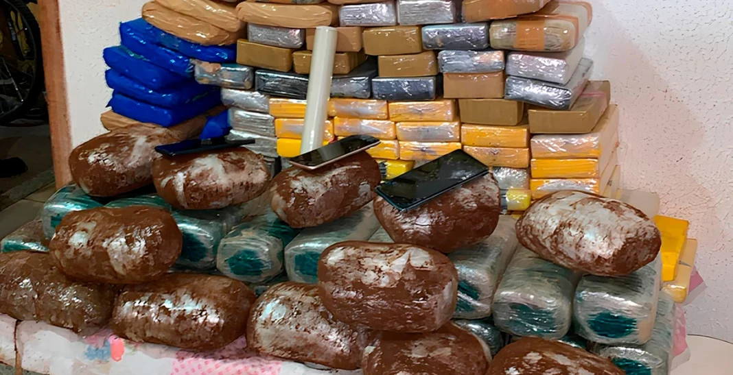 Polícia apreende 80 kg de maconha em cidade de Rondônia