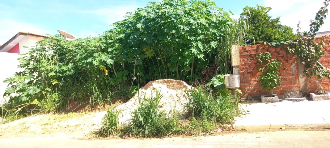 Vilhena: Prefeitura alerta sobre importância de limpeza de terrenos