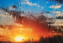 Terça-feira (16) de calor e chuvas isoladas em RO