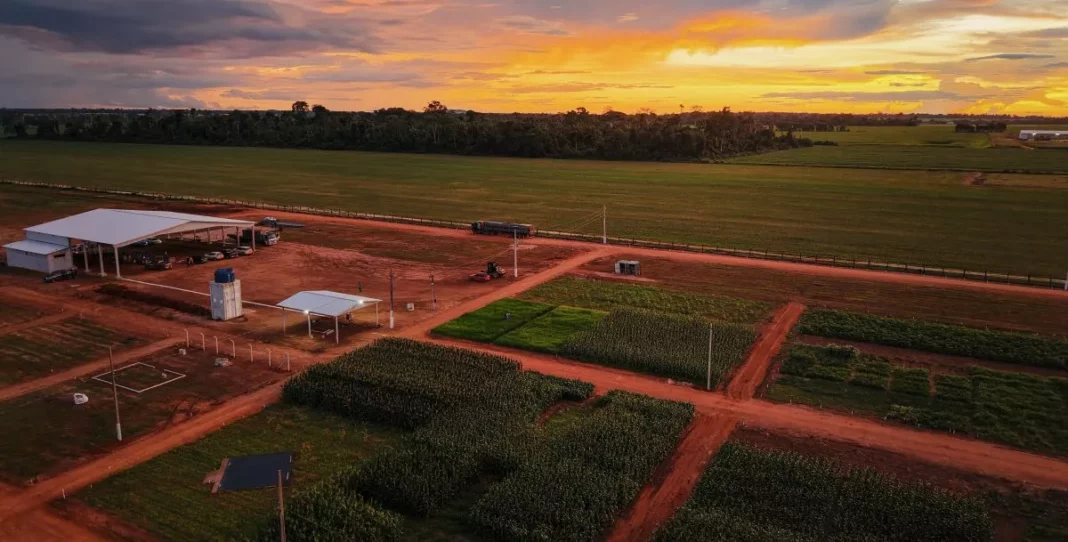 Cerejeiras se prepara para receber ciclo de palestras da Escola do Legislativo na Agrocom