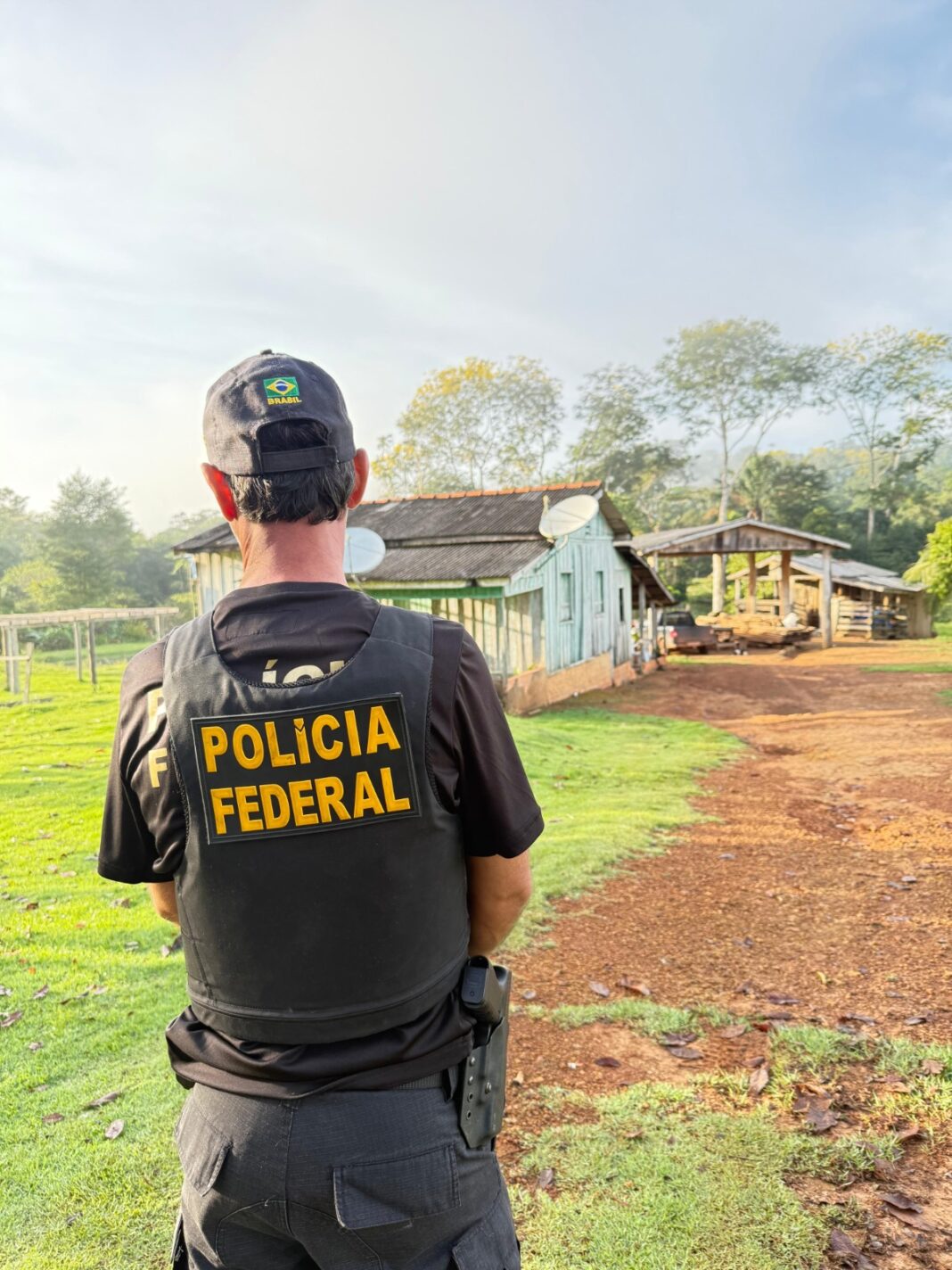 PF deflagra operação em combate a extração ilegal de madeira em Terras Indígenas