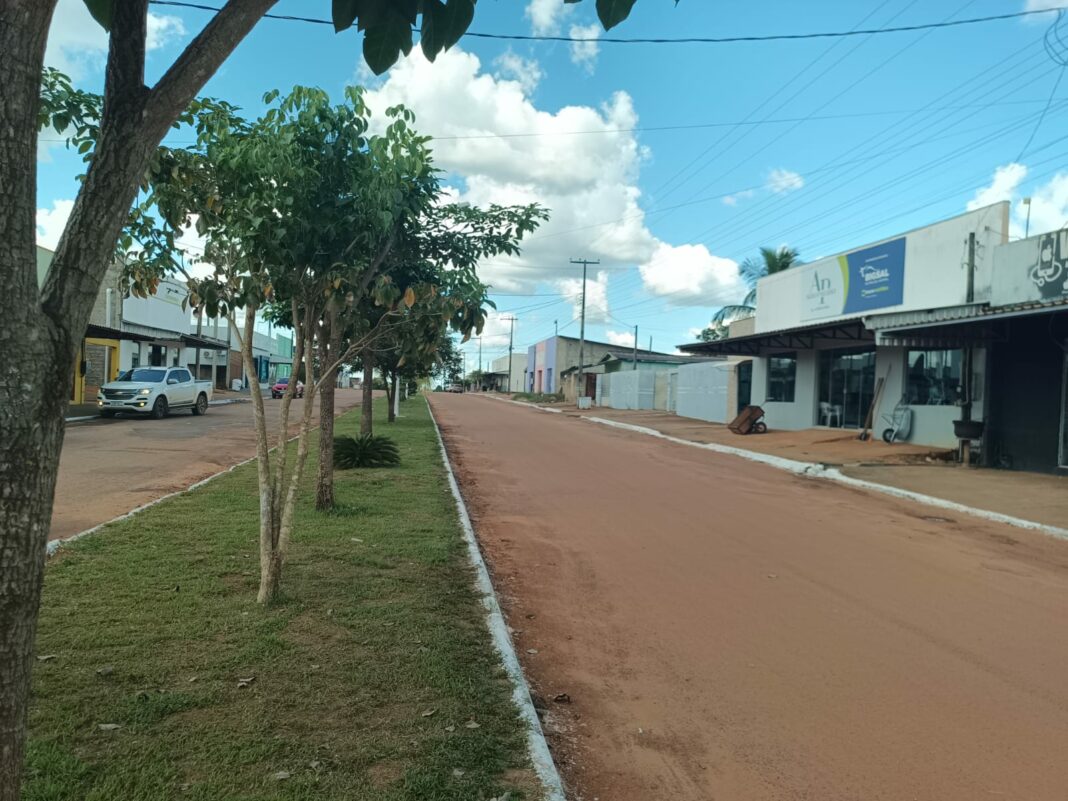 Deputada Rosangela Donadon solicita recapeamento e nova pavimentação na RO-496, no Distrito de Novo Plano