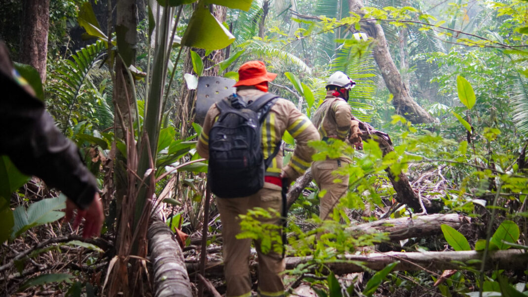 MUDANÇAS CLIMÁTICAS: Rondônia se prepara para enfrentamento da estiagem de 2025