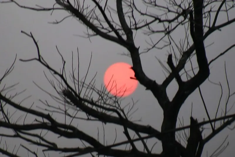 Sexta-feira com previsão de sol e chuvas isoladas em Rondônia