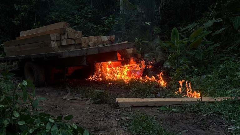 PF faz operação contra crimes ambientais na TI Igarapé Lage