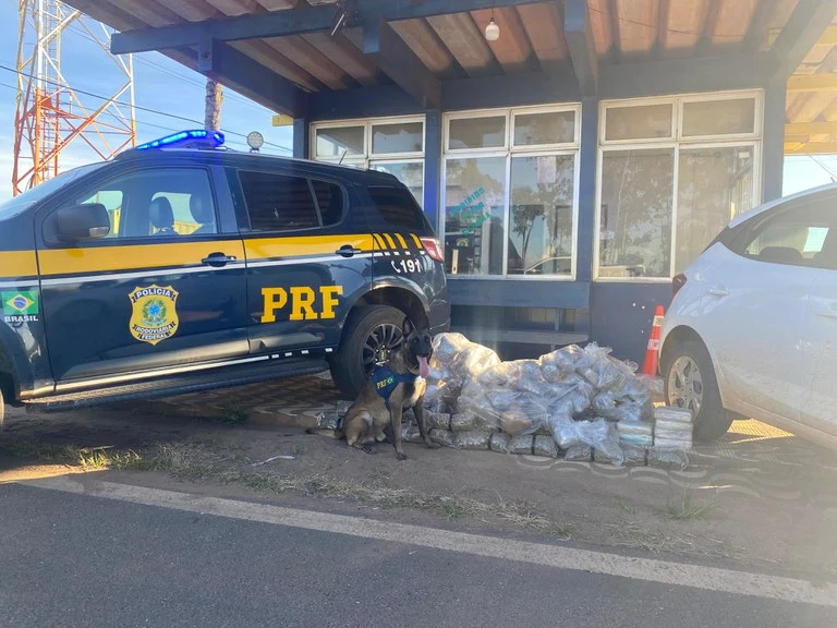 Servidor da Prefeitura de Pimenteiras do Oeste é preso com 84 kg de “supermaconha” na BR-364