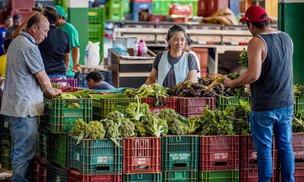 Anvisa inicia monitoramento de resíduos de agrotóxicos em alimentos