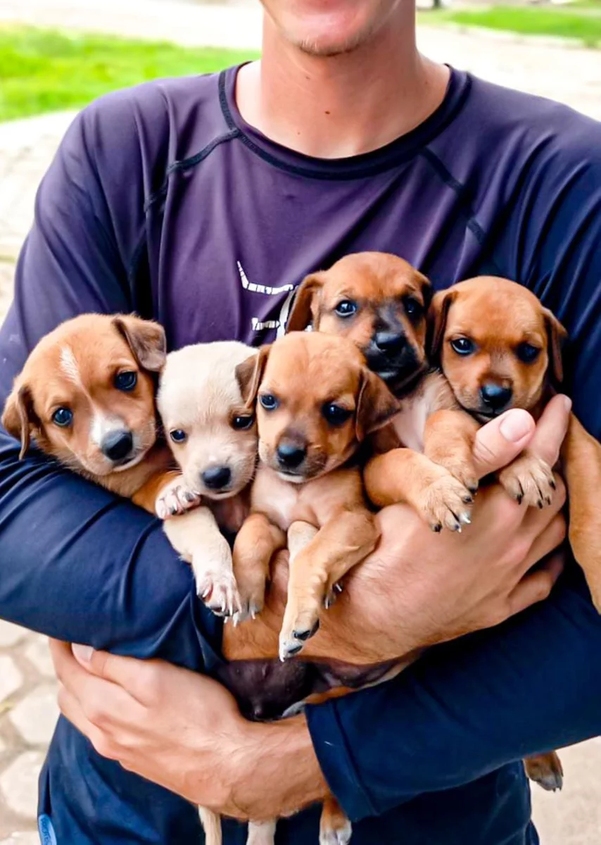 Sempba bate recorde de adoções de animais em abril e ultrapassa 160 lares conquistados em 2025