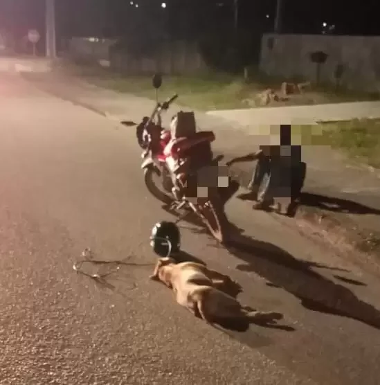 Homem arrasta cachorro com moto e é detido em Rondônia; animal não resistiu e morreu no local