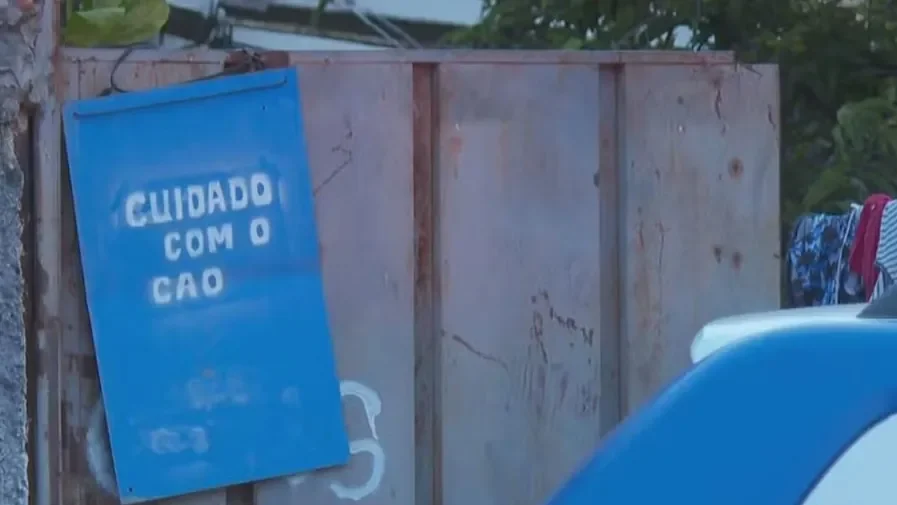 Cachorro pitbull ataca e mata bebê de 10 meses no colo da mãe